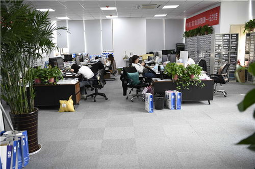 苏州工业园区企业合规纳税与高效代理服务指引